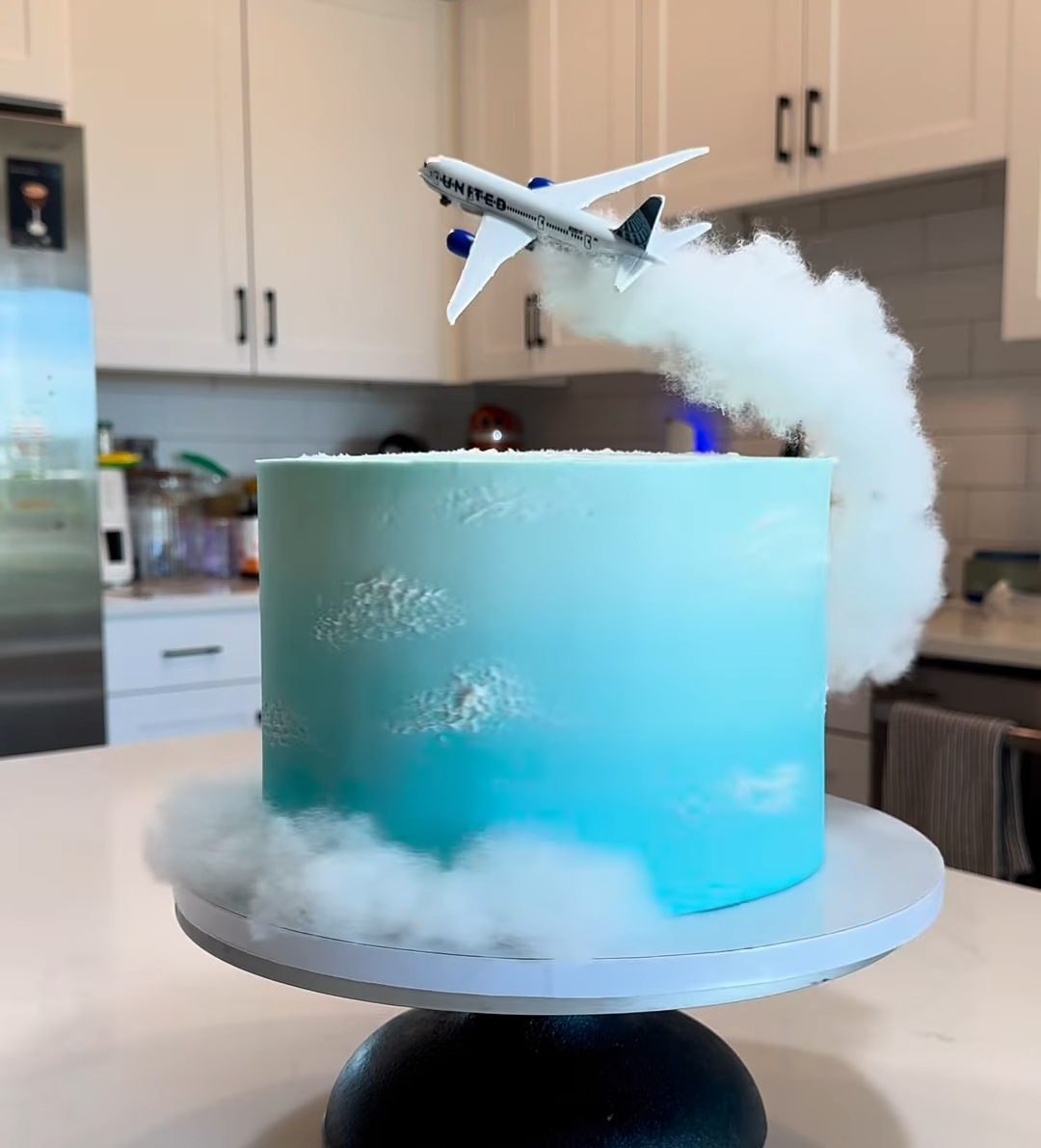 Bryonna's viral airplane cake